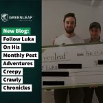 pest control experts near me | GreenLeaf Pest Control