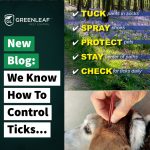 We know how to control ticks | GreenLeaf Pest Control
