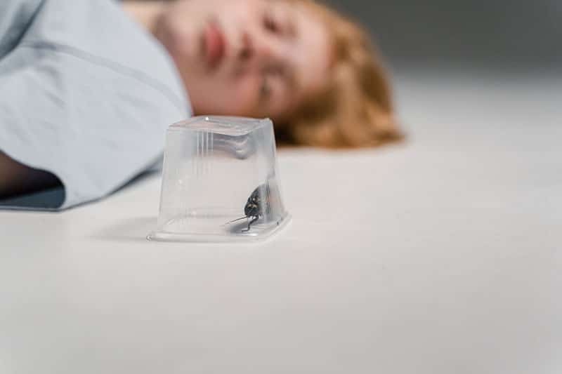 woman lying down out of focus near a trapped roach in a plastic case