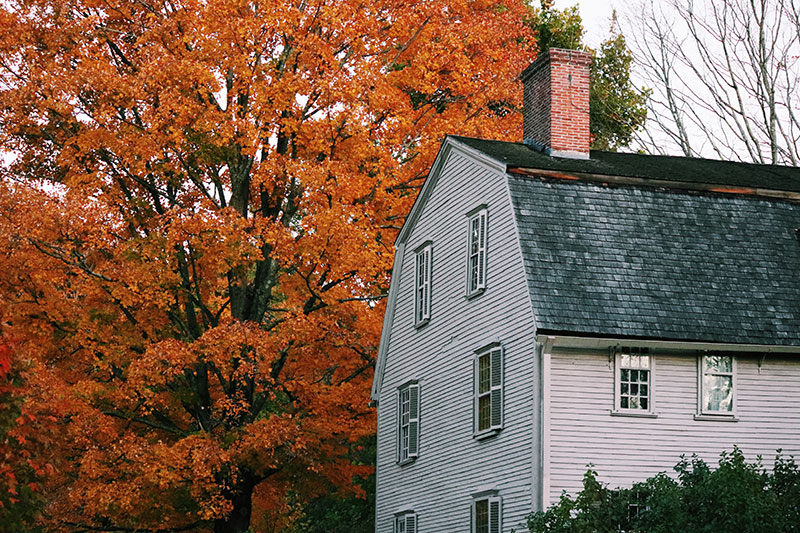 beautiful white wood home amid trees with exploding orange fall colours