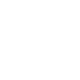 White icon of a fly