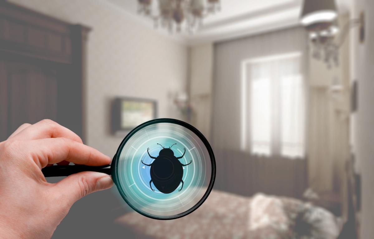 A hand holding a magnifying glass with a digital interface, revealing the silhouette of a bug against a blurred bedroom background. The image symbolizes pest inspection and detection, emphasizing the importance of identifying and controlling household pests like bed bugs.