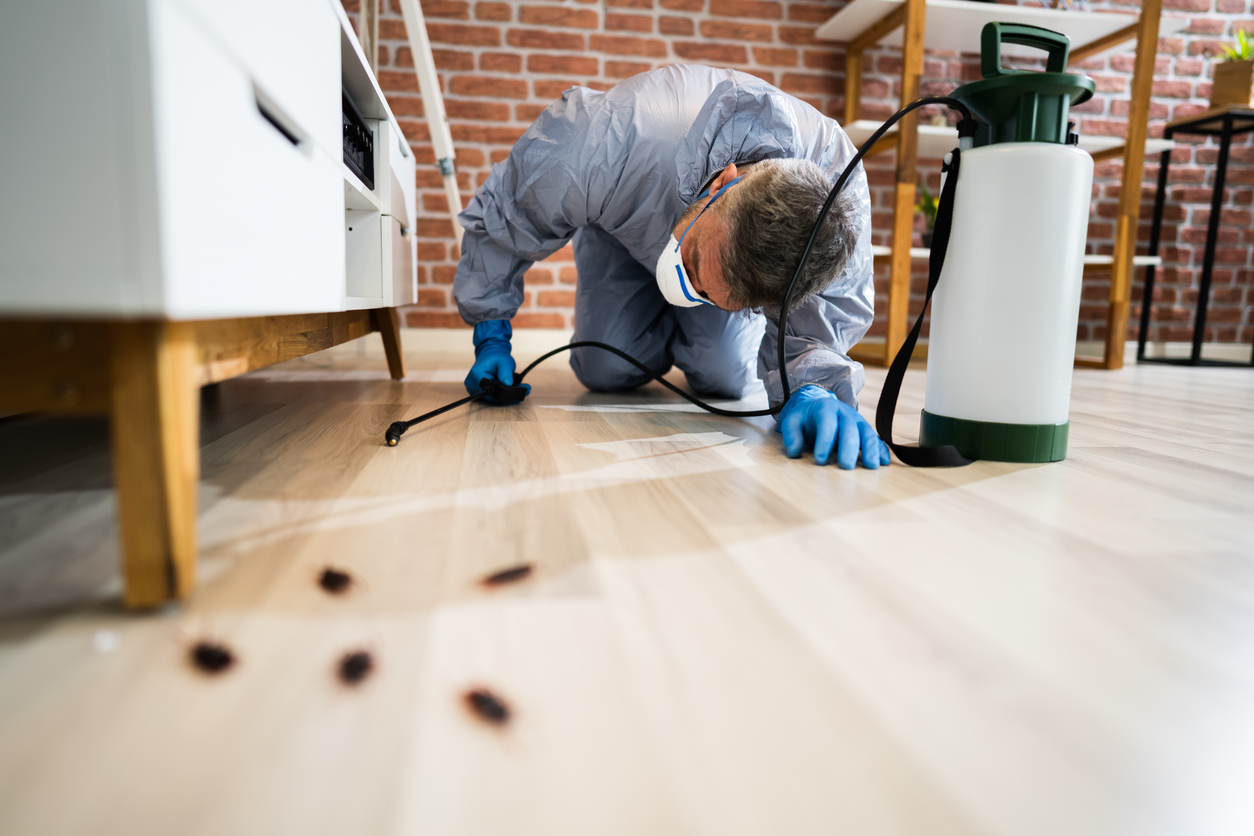 Pest Control Services in Bradford & Toronto | GreenLeaf Pest Control