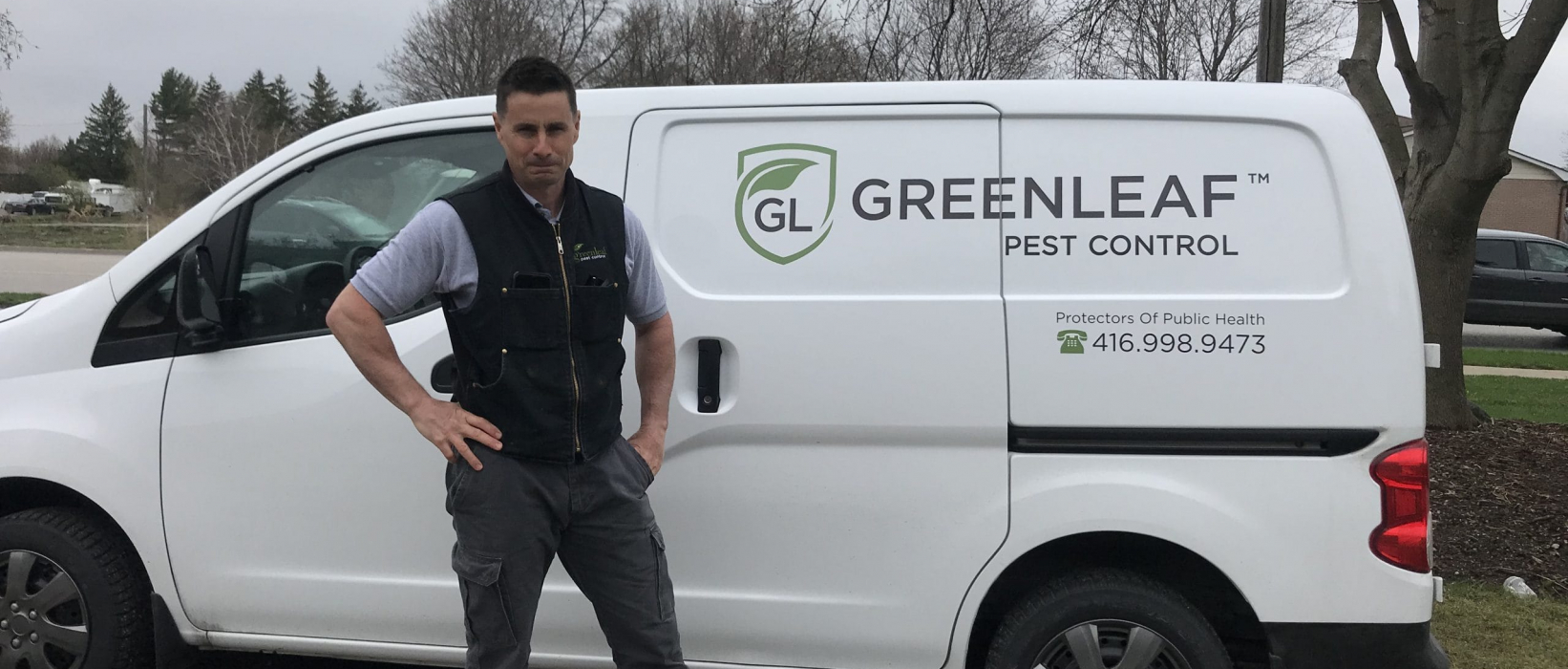 Commercial Pest Control Archives Green Leaf Pest Control